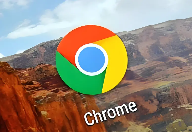 Chrome浏览器安装包